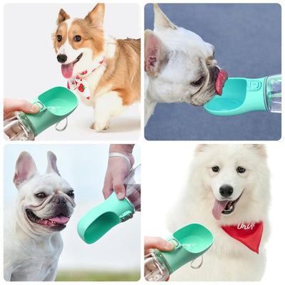 Portable Dog Water Bottle - Meeri